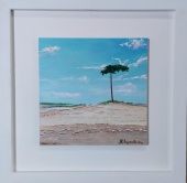 dunas_del_pinar_1369079370