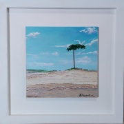 dunas_del_pinar_1369079370