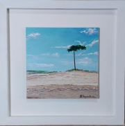 dunas_del_pinar_1369079370