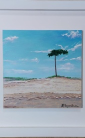 dunas_del_pinar_1369079370