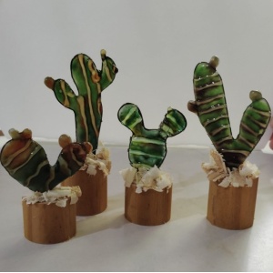 Cactus decorativos