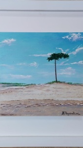 dunas_del_pinar_1369079370