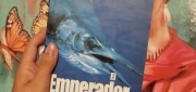 img_20260726_231702